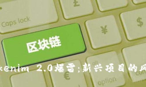 Title: Tokenim 2.0爆雷：新兴项目的风险与策略