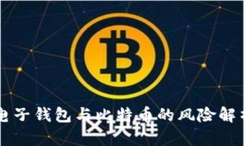 电子钱包与比特币的风险解析