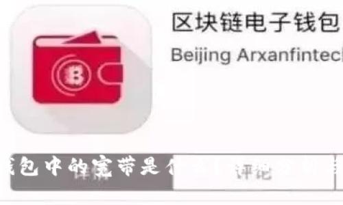 TRX钱包中的宽带是什么？详细分析与解读