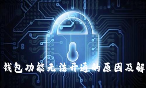 比特币钱包功能无法开通的原因及解决方案