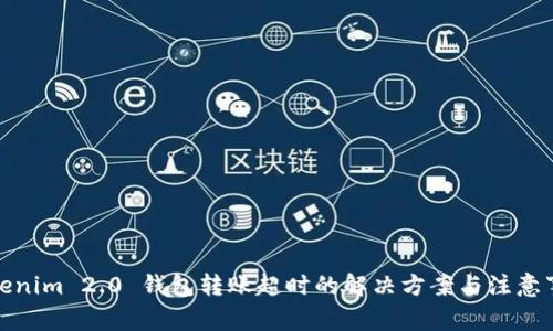 Tokenim 2.0 钱包转账超时的解决方案与注意事项