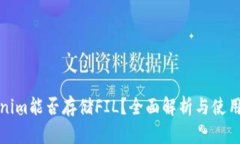 Tokenim能否存储FIL？全面解