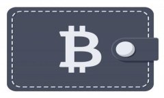 如何通过Tokenim导入其他钱