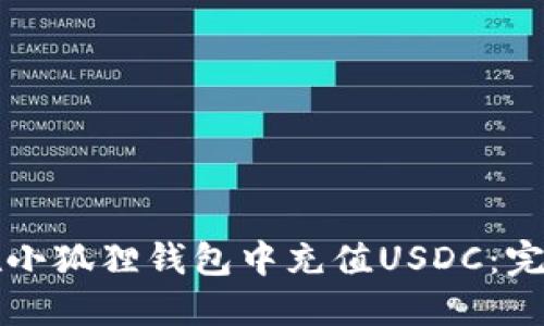 如何在小狐狸钱包中充值USDC：完整指南