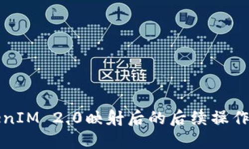 TokenIM 2.0映射后的后续操作指南