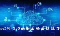 TokenIM 2.0映射后的后续操作