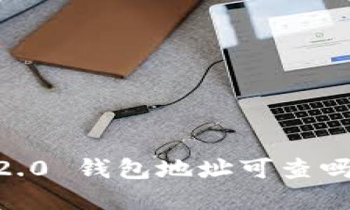 Tokenim 2.0 钱包地址可查吗？全面解读