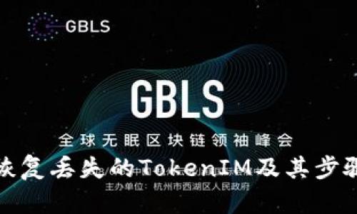 如何恢复丢失的TokenIM及其步骤详解