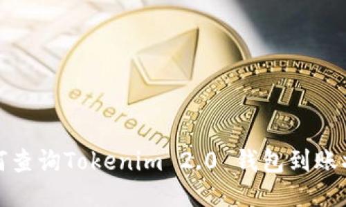 如何查询Tokenim 2.0 钱包到账状态