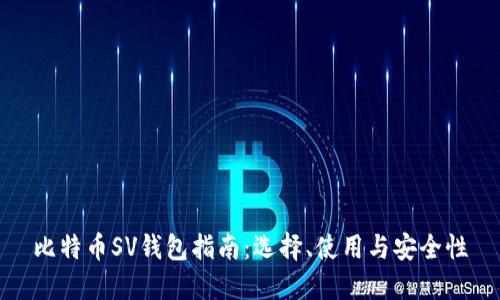 比特币SV钱包指南：选择、使用与安全性
