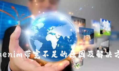 Tokenim带宽不足的原因及解决方案