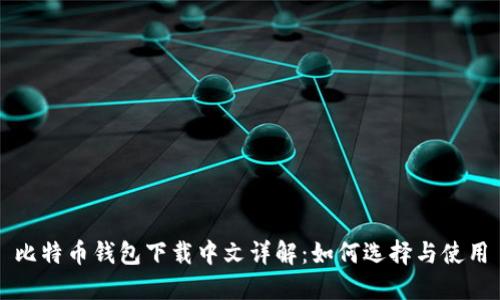 比特币钱包下载中文详解：如何选择与使用