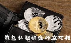 Tokenim 2.0 钱包私钥被盗的