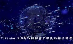 Tokenim 2.0导入地址资产缺失