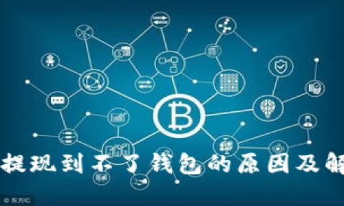 比特币提现到不了钱包的原因及解决方法
