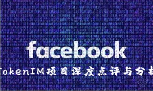 TokenIM项目深度点评与分析