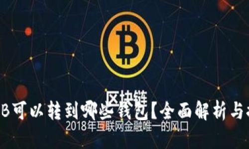 SHIB可以转到哪些钱包？全面解析与推荐