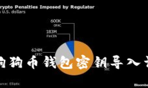 : 狗狗币钱包密钥导入详解