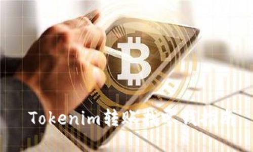  Tokenim转账找零钱指南