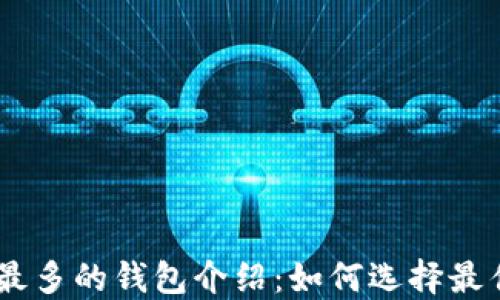 
USDT最多的钱包介绍：如何选择最佳选择