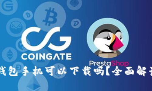 以太坊钱包手机可以下载吗？全面解读与推荐