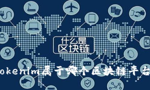 Tokenim属于哪个区块链平台？