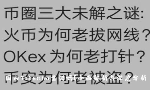 国内Tokenim靠谱吗？全面解析与深度分析