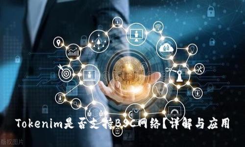 Tokenim是否支持BSC网络？详解与应用