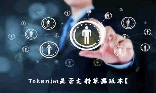 Tokenim是否支持苹果版本？