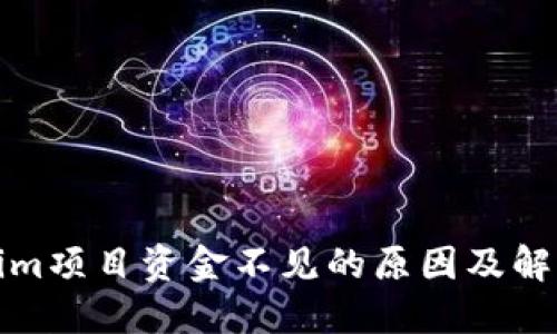 Tokenim项目资金不见的原因及解决方案
