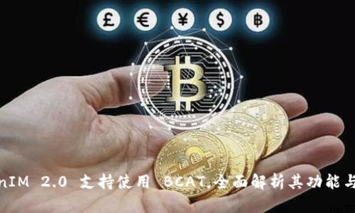 TokenIM 2.0 支持使用 BCAT，全面解析其功能与优势