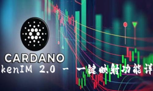 TokenIM 2.0 - 一键映射功能详解