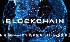 如何在iPhone上下载并使用