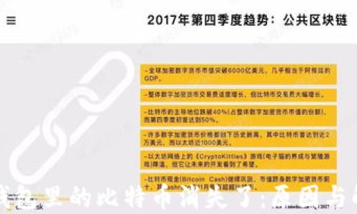 
比特币钱包里的比特币消失了：原因与解决方案