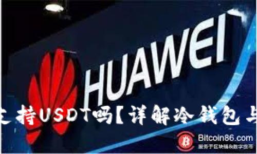 比太冷钱包支持USDT吗？详解冷钱包与USDT的关系