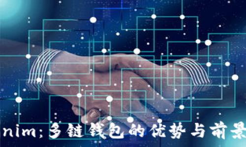   
Tokenim：多链钱包的优势与前景分析