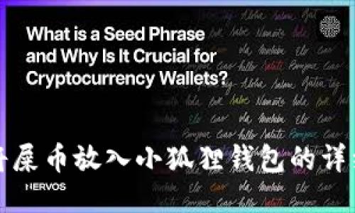 如何将屎币放入小狐狸钱包的详细指南