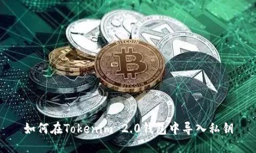 如何在Tokenim 2.0钱包中导入私钥
