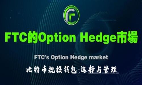 比特币规模钱包：选择与管理