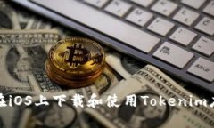 : 如何在iOS上下载和使用