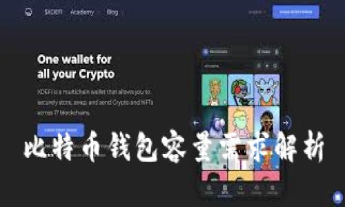 比特币钱包容量需求解析