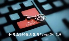 如何在BSC链上使用TokenIM