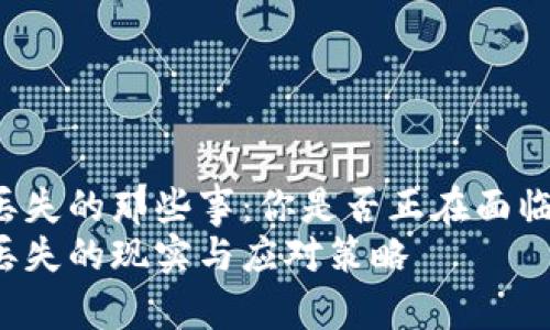 比特币钱包钥匙丢失的那些事：你是否正在面临巨大的财富损失？
比特币钱包钥匙丢失的现实与应对策略