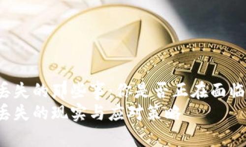 比特币钱包钥匙丢失的那些事：你是否正在面临巨大的财富损失？
比特币钱包钥匙丢失的现实与应对策略