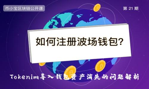 Tokenim导入钱包资产消失的问题解析