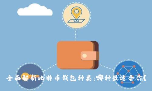 全面解析比特币钱包种类：哪种最适合你？