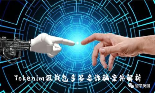 Tokenim假钱包多签名诈骗案件解析