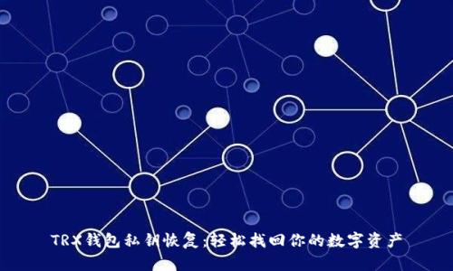 TRX钱包私钥恢复：轻松找回你的数字资产