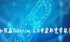 如何在Tokenim 2.0中获取宽带