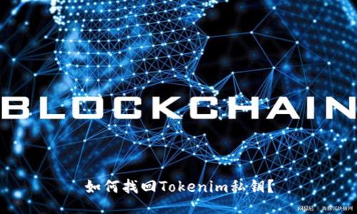 如何找回Tokenim私钥？